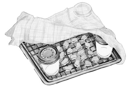 Sun-Drying Fruit at Home Image